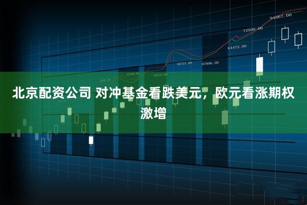 北京配资公司 对冲基金看跌美元，欧元看涨期权激增