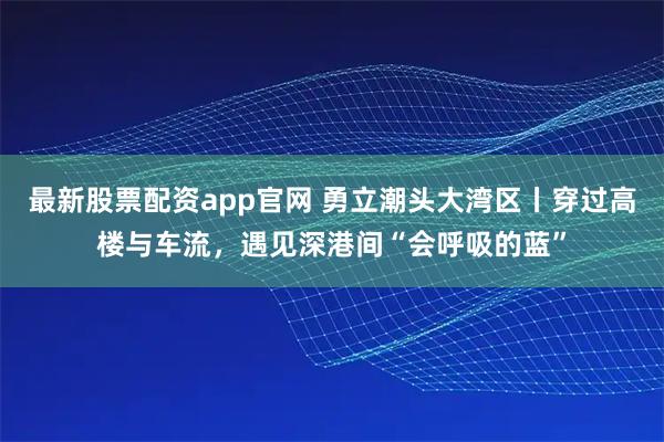 最新股票配资app官网 勇立潮头大湾区丨穿过高楼与车流，遇见深港间“会呼吸的蓝”